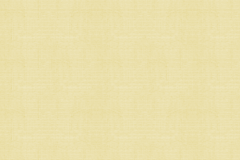 Тэфи-06