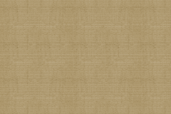 Тэфи-08