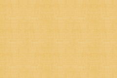 Тэфи-09